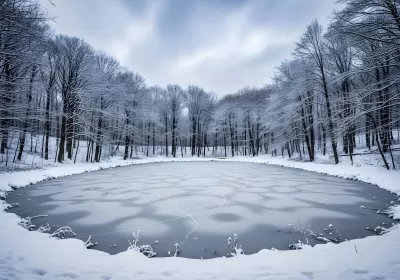 Imagen PNG para descargar